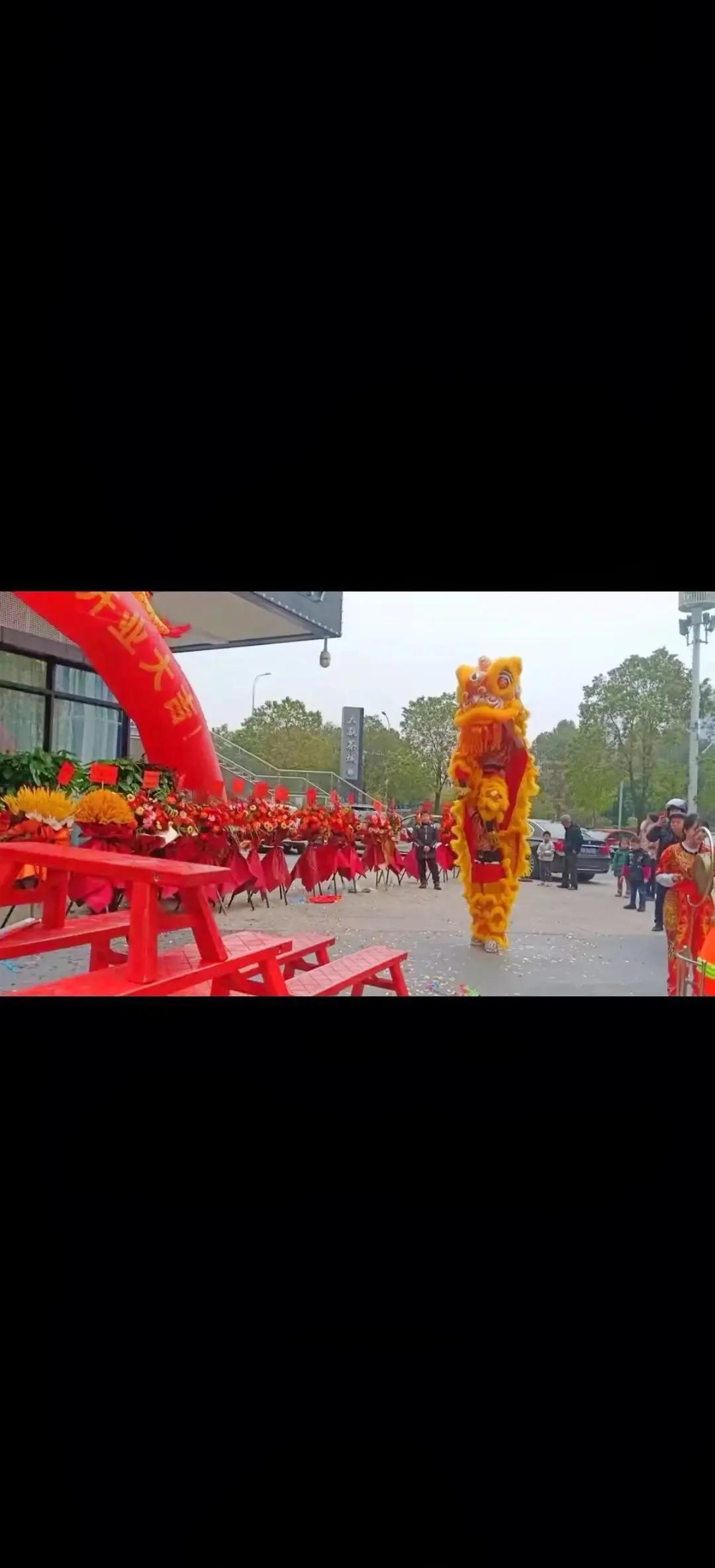开云体育网址-包含传统舞狮运动会，文化与力量的精彩演绎的词条