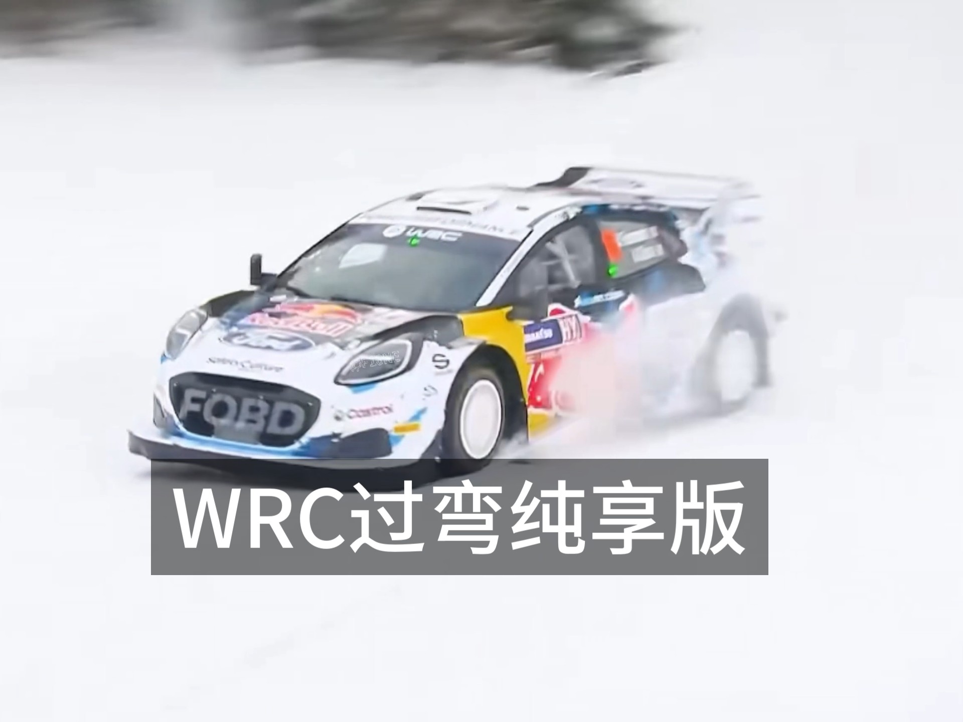 开云投注-关于赛场外的趣味：WRC车迷文化及特色活动的信息
