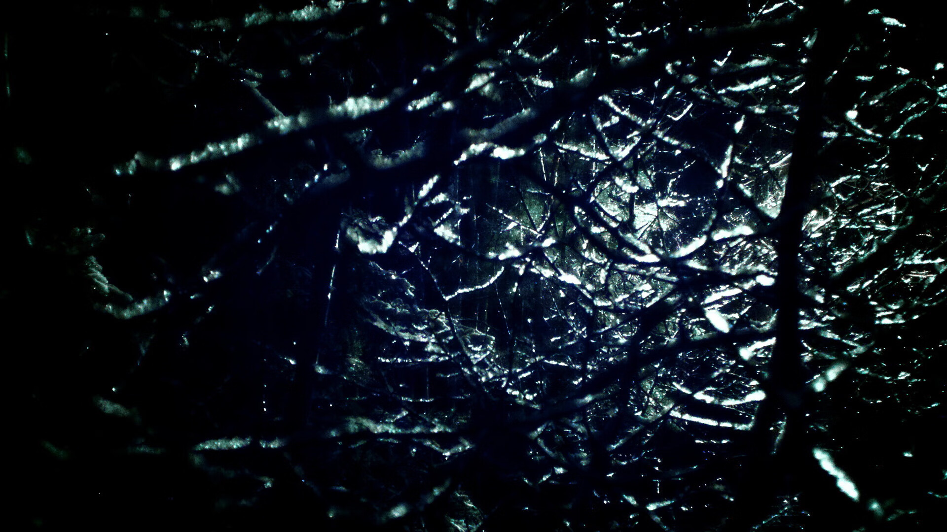 开云体育客户端-覃海洋用实力回应所有挑战，覃海洋百科