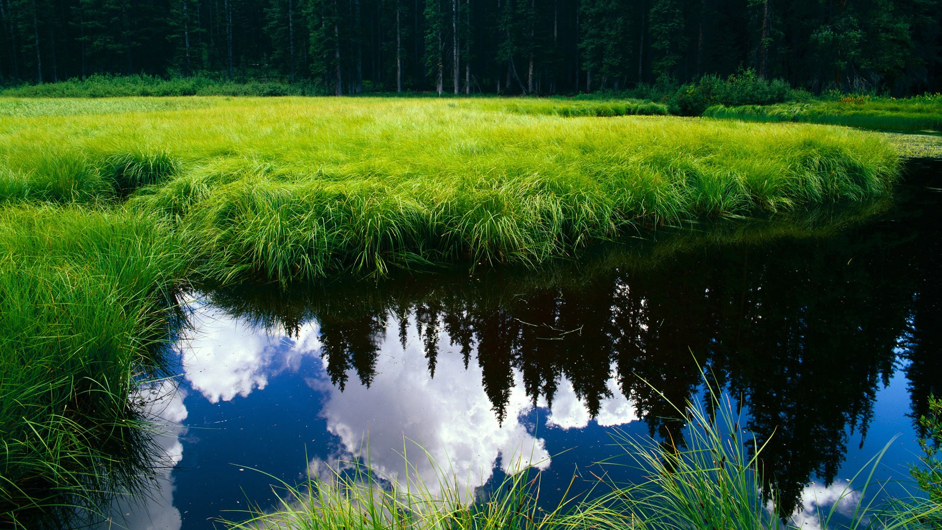 谷爱凌谈未来考虑跨界尝试新领域，谷爱凌访谈