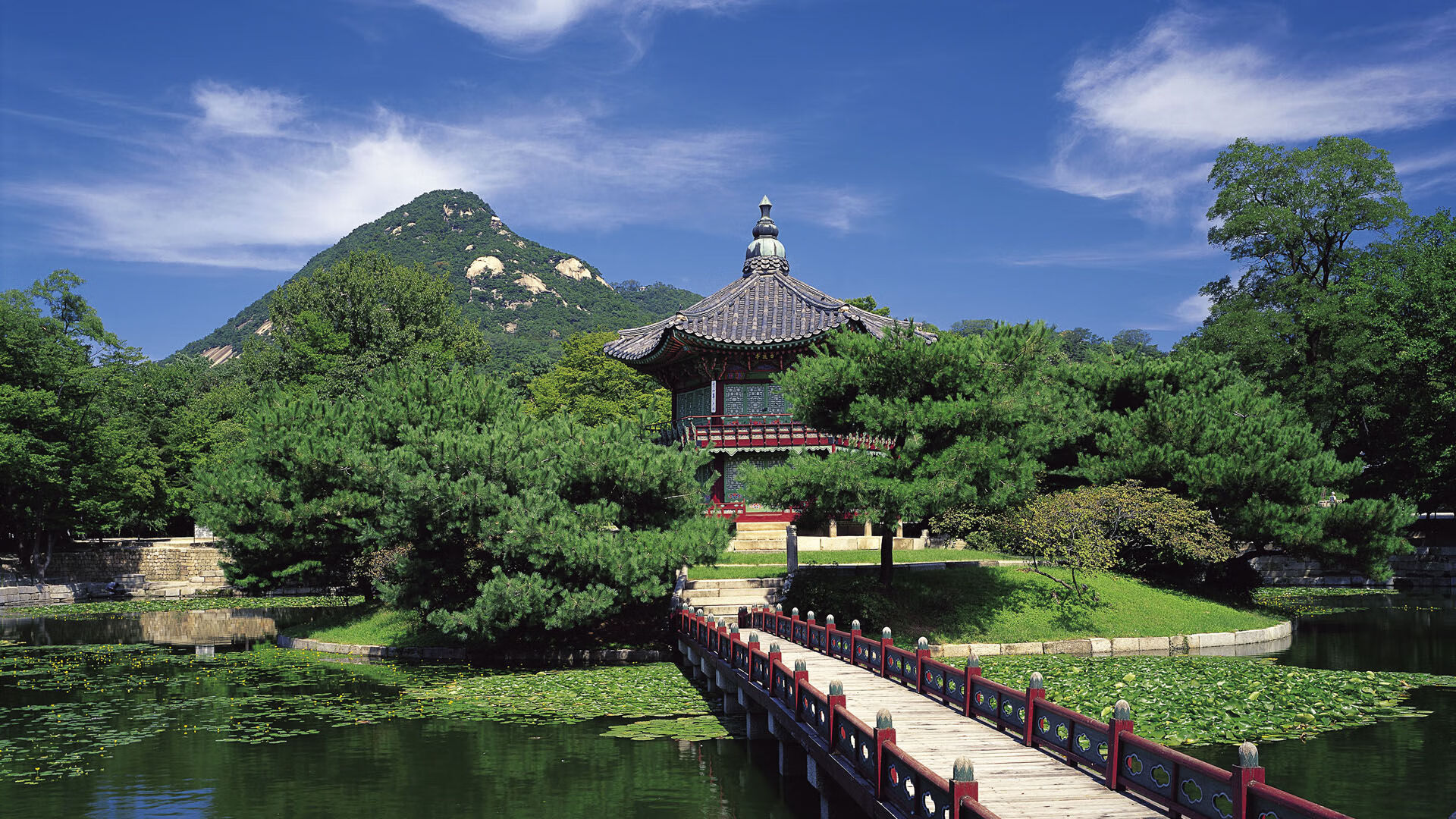 跳水技术提升中立代表队A得分稳定，跳水队规则