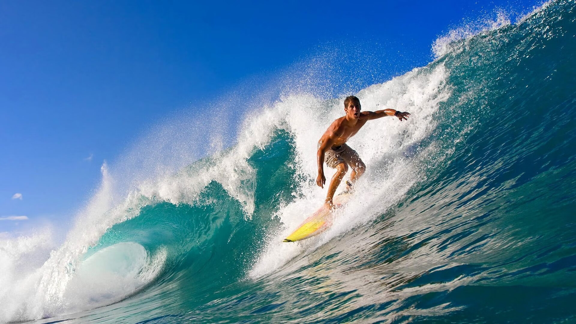 国青队击败韩国队获得小组第一，国青队成员